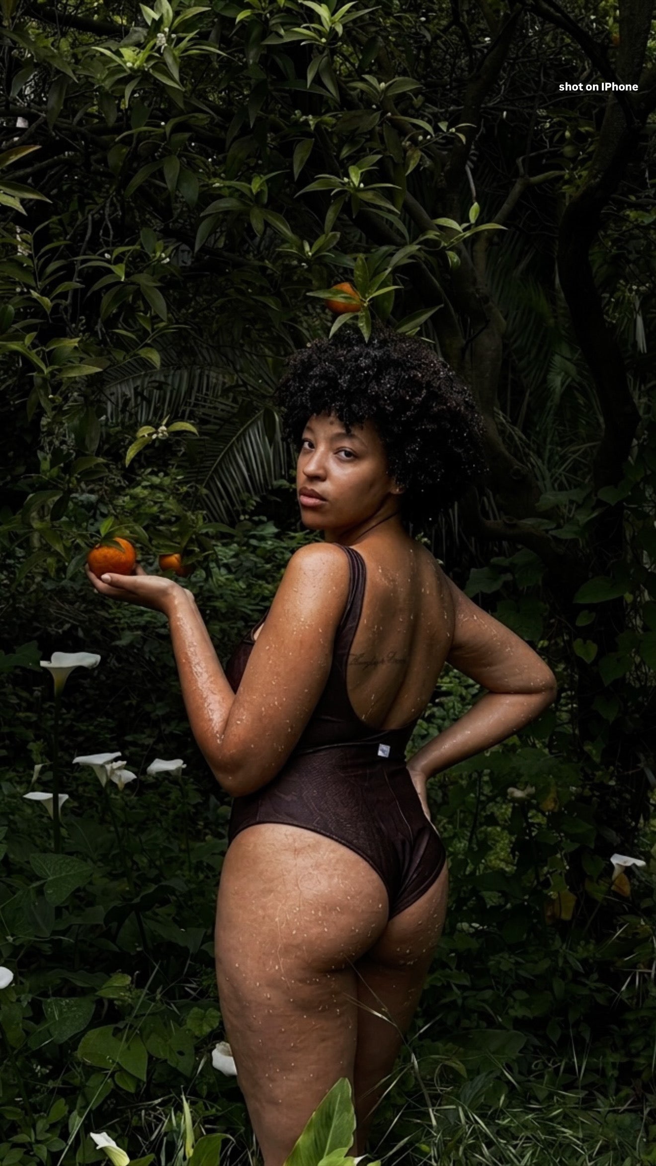 Amazonica