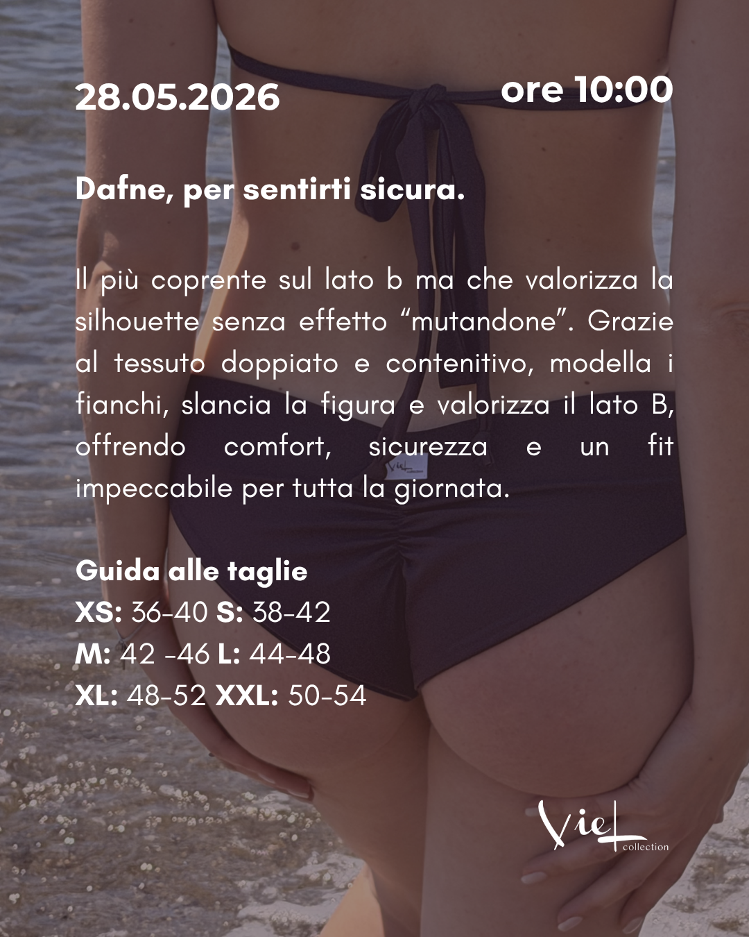 Dafne - Viola melanzana