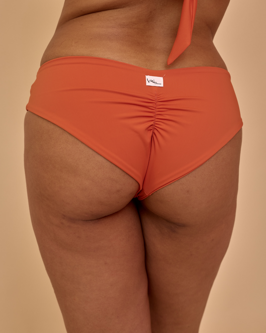 Dafne Papaya