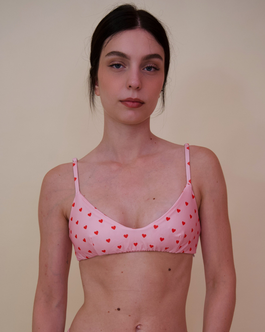 Minerva Cuoricini